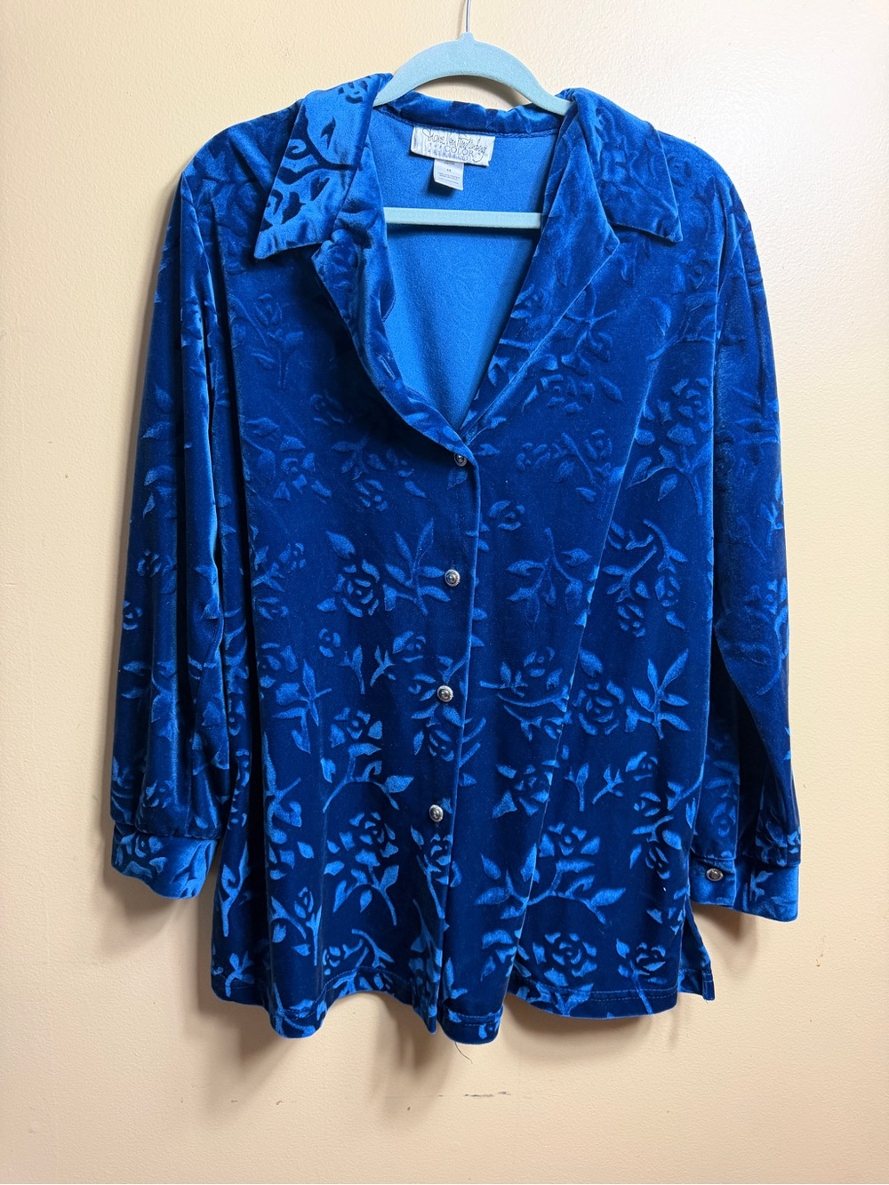 VTG Diane Von Furstenberg In Color Blue Velvet Rose Devore Blouse Plus 1X